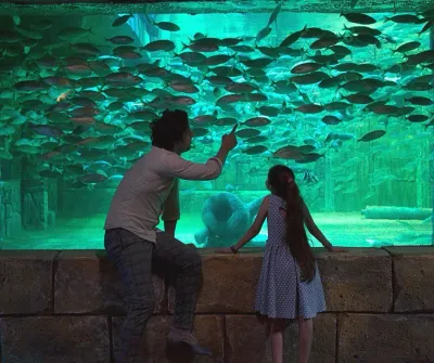 ViaSea Aquarium Entry Ticket — photo 11