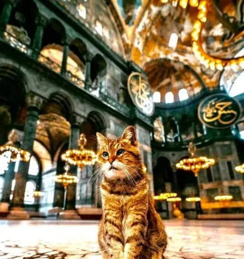 Hagia Sophia Guided Tour