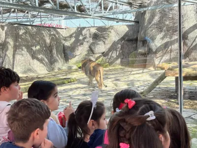 Lion Park Zoo Entry — photo 8