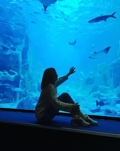 Istanbul Aquarium Entry Ticket — photo 8