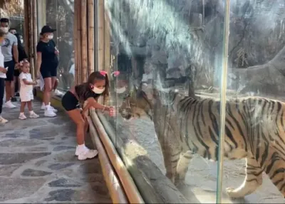 Lion Park Zoo Entry — photo 11
