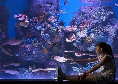 ViaSea Aquarium Entry Ticket — photo 10