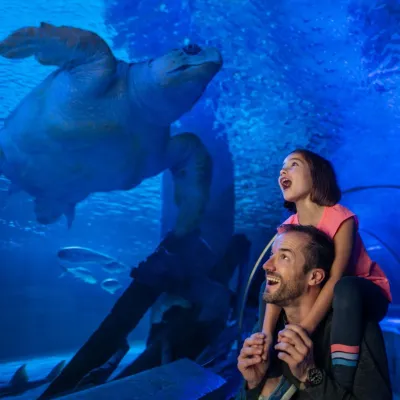 Istanbul Aquarium Entry Ticket — photo 2
