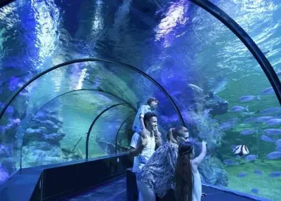 ViaSea Aquarium Entry Ticket — photo 5