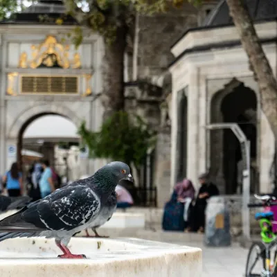 Eyup Sultan Mosque Walking Tour with Audio Guide — photo 5