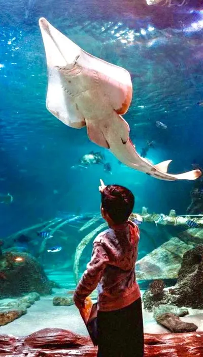 Istanbul Aquarium Entry Ticket — photo 4