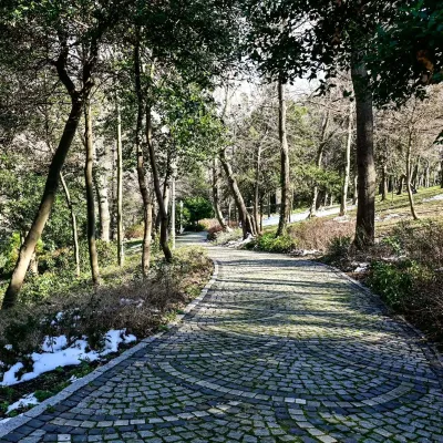 Yildiz Park Walking Tour with Audio Guide — photo 5