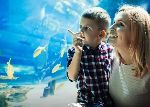 Emaar Aquarium and Underwater Zoo