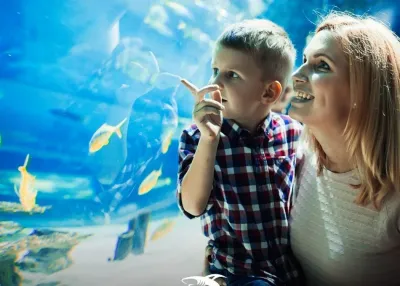 Emaar Aquarium and Underwater Zoo — photo 2