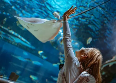 Emaar Aquarium and Underwater Zoo — photo 5