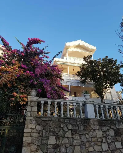 Princes’ Islands Tour with Lunch — photo 9
