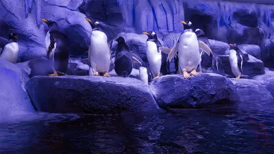 Istanbul Aquarium Entry Ticket — photo 10