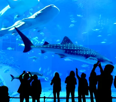 Istanbul Aquarium Entry Ticket — photo 5
