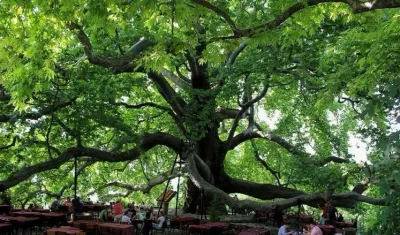 Bursa Day Trip & Shopping Guided Tour — photo 7