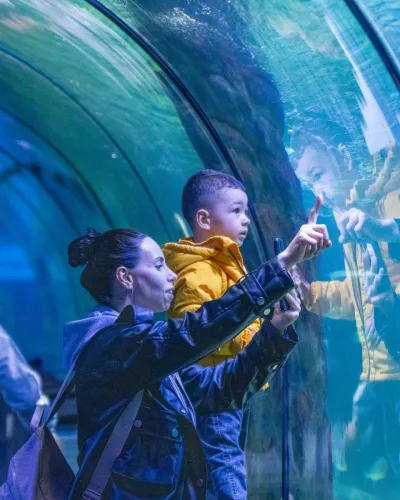 ViaSea Aquarium Entry Ticket — photo 4
