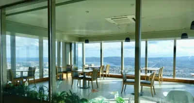 Sapphire Observation Deck Admission Ticket — photo 10