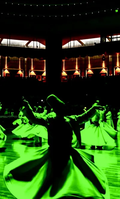 Whirling Dervishes Show Ticket — photo 11