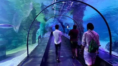 ViaSea Aquarium Entry Ticket — photo 12