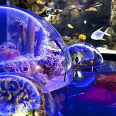 Istanbul Aquarium Entry Ticket — photo 12