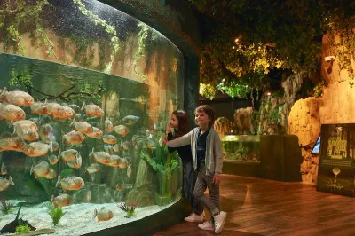 Emaar Aquarium and Underwater Zoo — photo 10