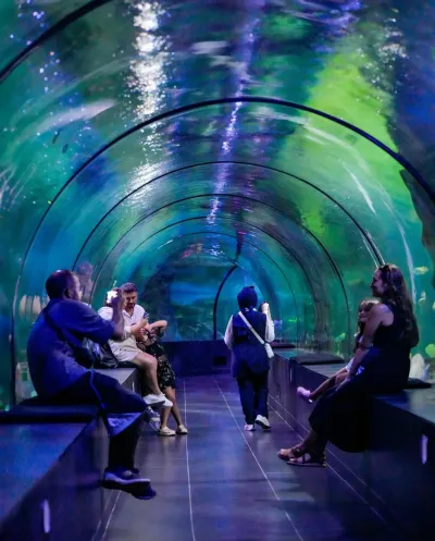 ViaSea Aquarium Entry Ticket — photo 7