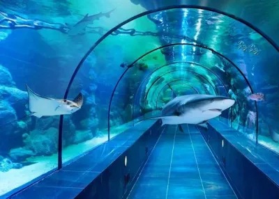 ViaSea Aquarium Entry Ticket — photo 1