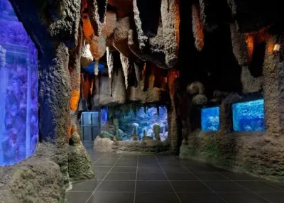 ViaSea Aquarium Entry Ticket — photo 9