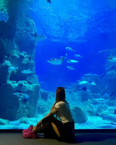 Istanbul Aquarium Entry Ticket — photo 3