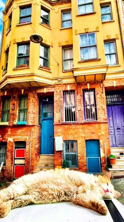 Fener and Balat Walking Tour with Audio Guide — photo 10