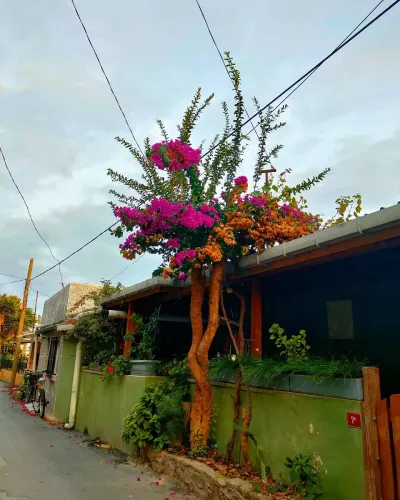Kinaliada Island Walking Tour with Audio Guide — photo 10