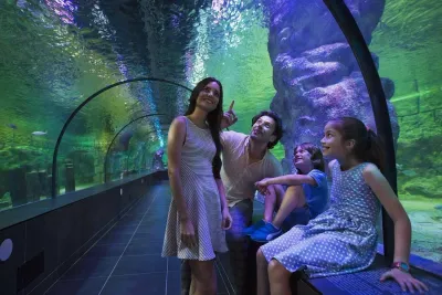ViaSea Aquarium Entry Ticket — photo 3