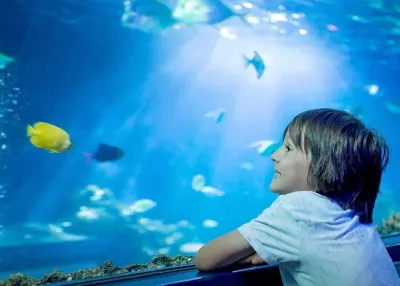 Emaar Aquarium and Underwater Zoo — photo 4