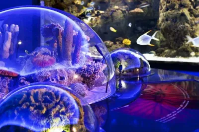 Istanbul Aquarium Entry Ticket — photo 1