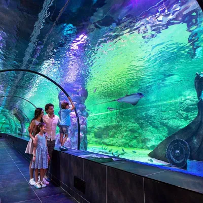 ViaSea Aquarium Entry Ticket — photo 2