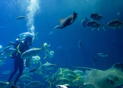 Emaar Aquarium and Underwater Zoo — photo 8