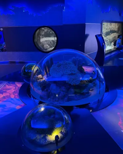 Istanbul Aquarium Entry Ticket — photo 11