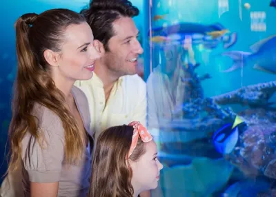 Emaar Aquarium and Underwater Zoo — photo 3