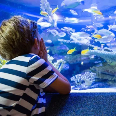 Emaar Aquarium and Underwater Zoo — photo 12